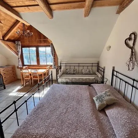 Pensjonat Na Belisku Březiny